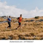 日本A级视频在线播放 3k85s6