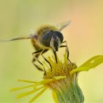 成年大片免费视频播放 5tv7b5q2