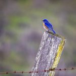 特级A作爱片 65e0zpz7i6