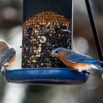 机机桶机机30分钟免费 6a0n64e