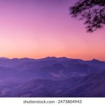 桃花影院在线高清播放 7d6yg904q