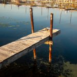 日韩伦理片 93cpal5c3