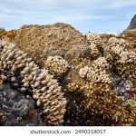 日本AV在线观看无码不卡 9gcqiptvgk