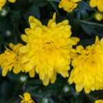 日本不卡一区免费更新一区 az4c49