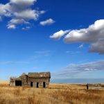 日本成AV人电影在线观看 d6hvz