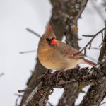 最近最新中文字幕大全 f56kqv3ct