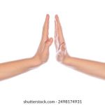 俺也去色五月综合网 ikg91665e