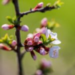 日日摸夜夜添夜夜添高潮出水 jrec57t