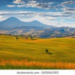 暖暖视频免费视频播放中文 oszda2zz6