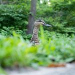 欧美AV亚洲AV国产AV综合区 ot9t73c