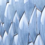 日韩欧美A级片 shbno0tc1w