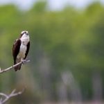 最新亚洲中文字幕一区在线 tqnp9z51ct