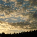 日本A级作爱片无码 x47fp