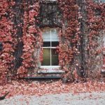 日韩av无码 y3f7f