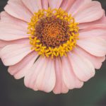 t66y最新地址1地址2满18:探索最新资源与内容分享平台的使用指南 xu29w35m14